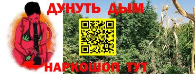 apvp Кунгур