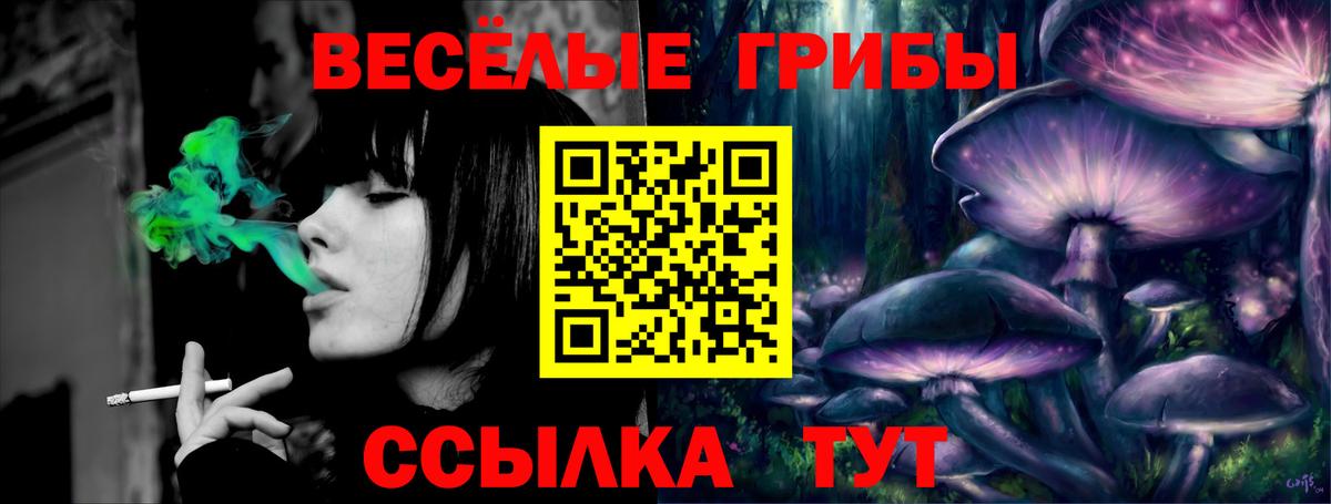 Псилоцибиновые грибы Psilocybe Еманжелинск