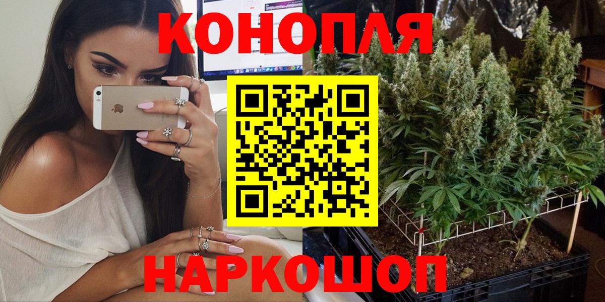 Бошки Шишки конопля Еманжелинск